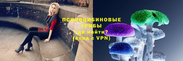 спиды Нефтекумск