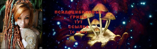 apvp Нефтегорск