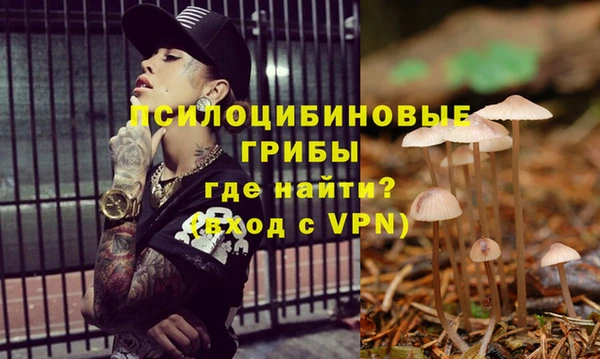 спиды Нефтекумск