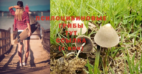 apvp Нефтегорск