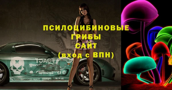 спиды Нефтекумск