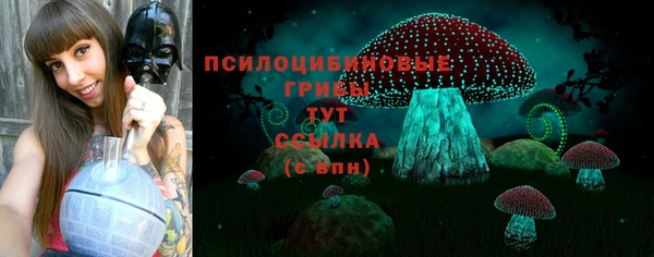 apvp Нефтегорск