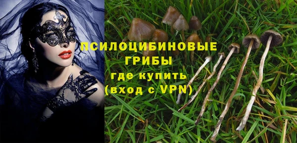 спиды Нефтекумск
