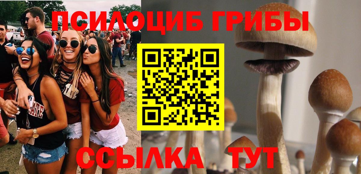 Галлюциногенные грибы Cubensis Раменское