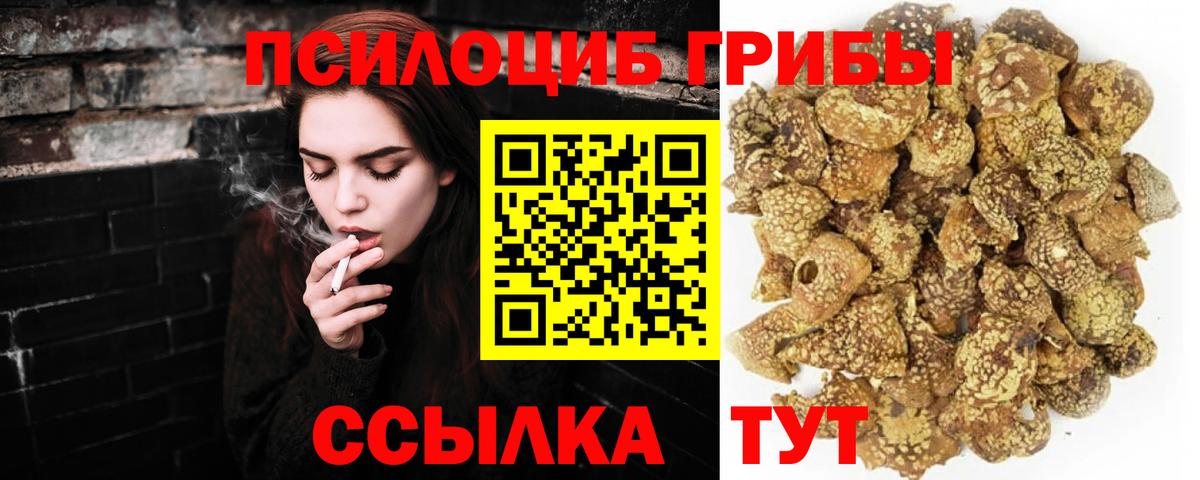 МЕФ Раменское