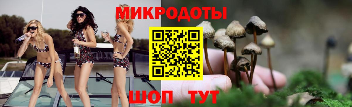 Галлюциногенные грибы Cubensis Раменское